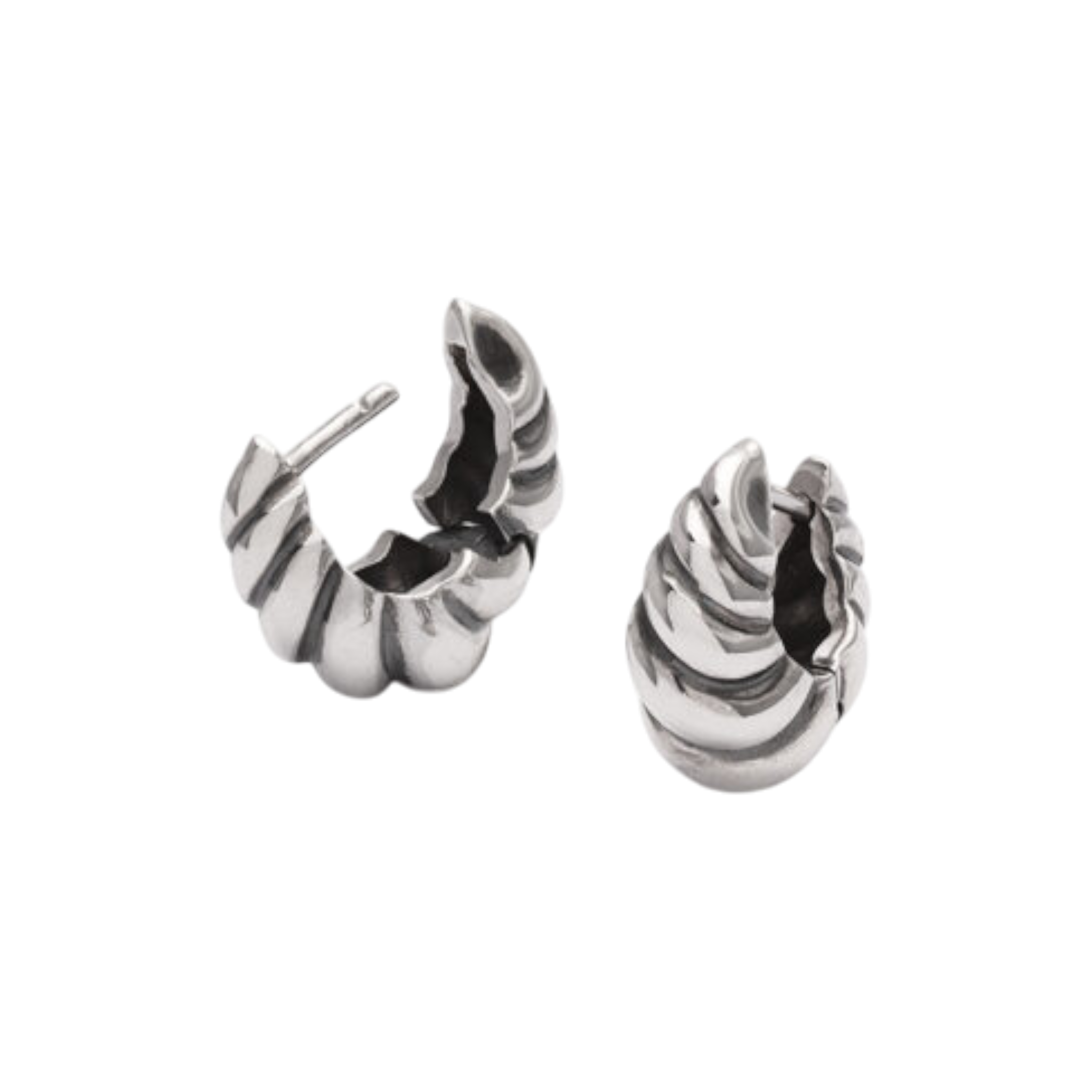 VALENTINO DI LEONARDO Orecchini Valentino Di Leonardo | Cerchi Tridacna con argento